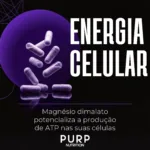 Tri Magnésio Premium Purp Nutrition 60 Cápsulas - Sono e Recuperação - Imagem 3